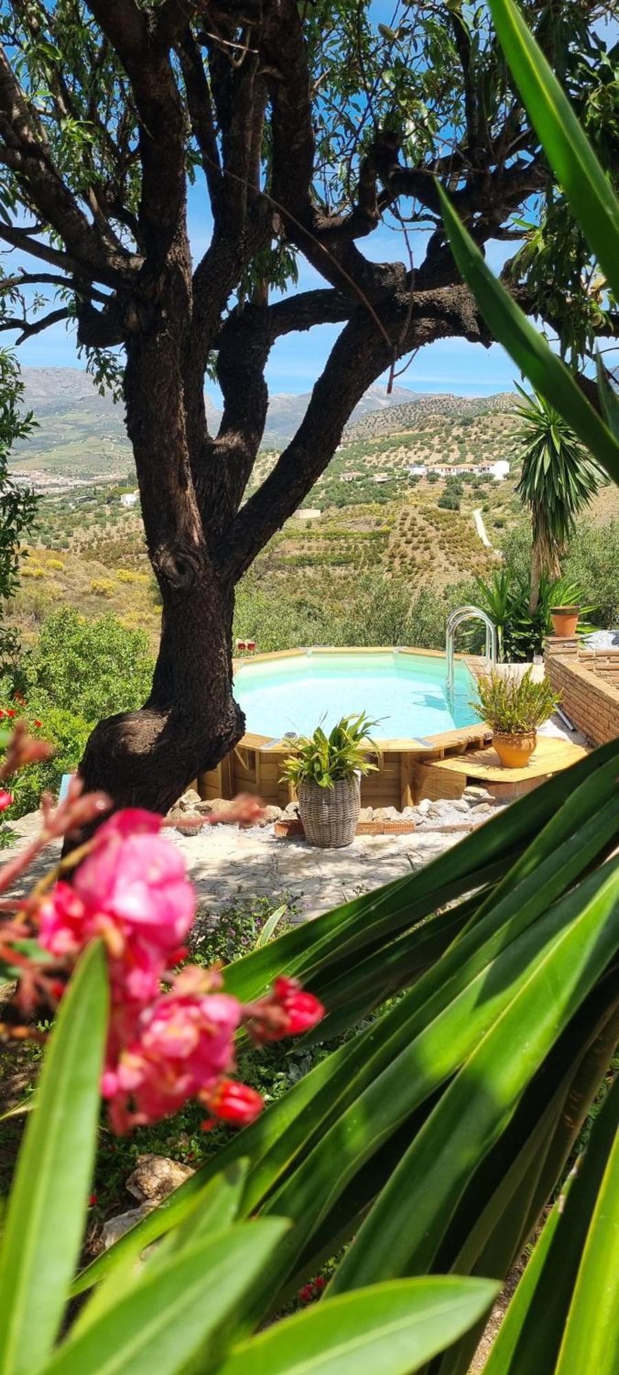 La Vista Vinuela Bed and Breakfast Εξωτερικό φωτογραφία