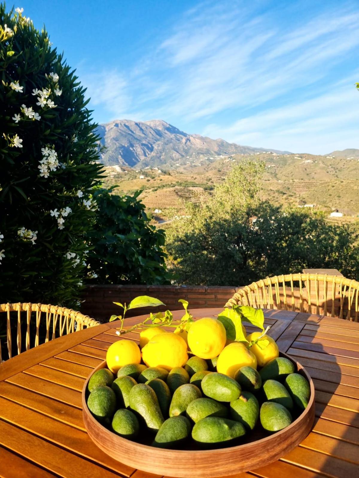 La Vista Vinuela Bed and Breakfast Εξωτερικό φωτογραφία