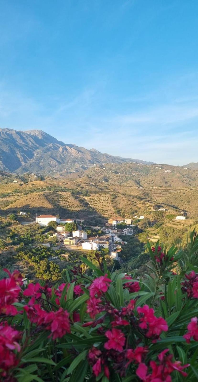 La Vista Vinuela Bed and Breakfast Εξωτερικό φωτογραφία